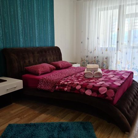 Premium Apartment Isaran 布拉索夫 外观 照片