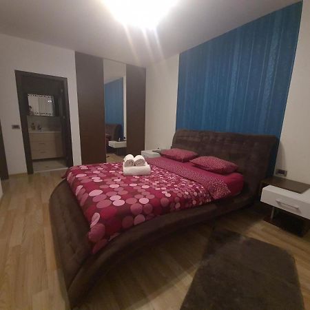 Premium Apartment Isaran 布拉索夫 外观 照片