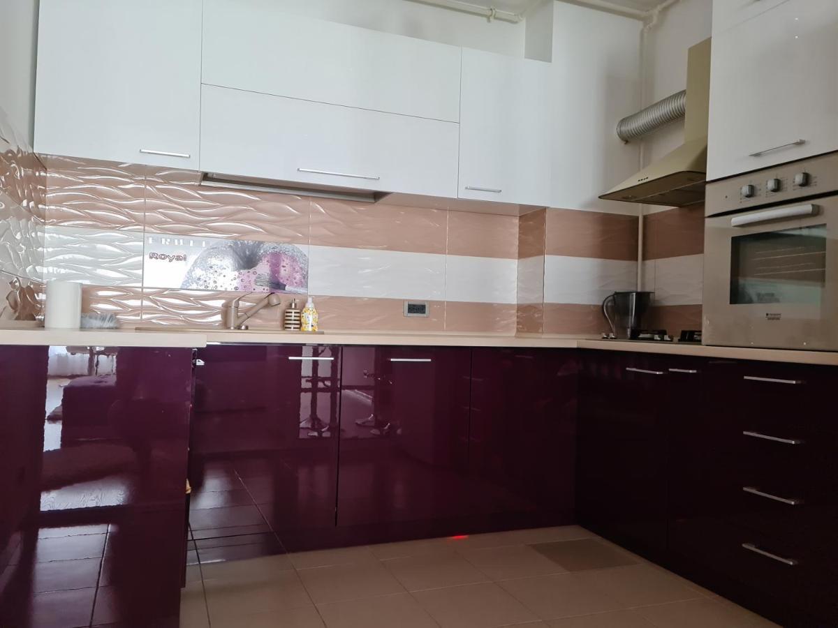 Premium Apartment Isaran 布拉索夫 外观 照片