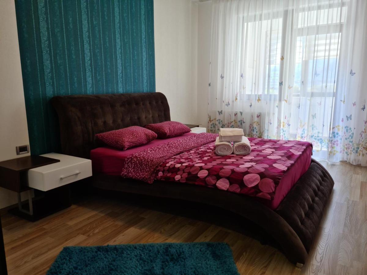 Premium Apartment Isaran 布拉索夫 外观 照片